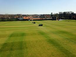 Image result for Lanchester Cricket Club