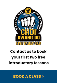 Image result for Hillcross, Raynes Park & Redhill Choi Kwang-Do