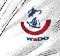 Image result for Karate Wado Kai