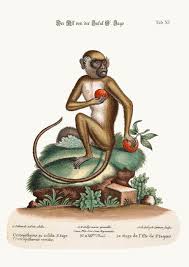 Image result for St Edwards Sac