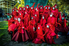 Image result for Reddish Rebels