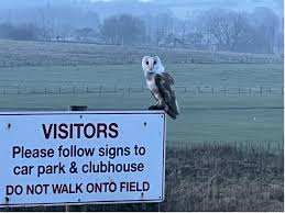 Image result for Needwood Forest Gliding Club Ltd