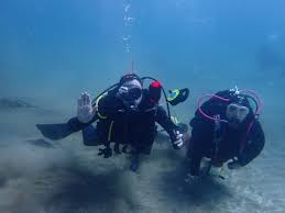 Image result for Reading Bsac