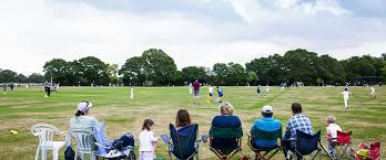Image result for Steyning Cricket Club