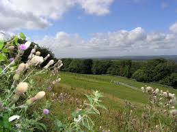 Image result for Bidborough Cc