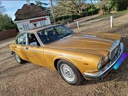 Image result for Coronet Gold 1982 Jaguar