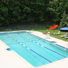 Image result for Ledbury & District Amateur Swimming Club