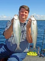 Image result for Chelon tricuspidens