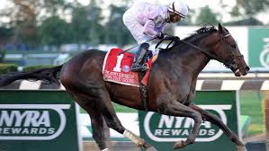 Image result for The Horse Racing Club
