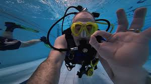 Image result for Cleveland Divers