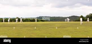 Image result for Forest Green Cricket Club