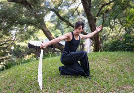 Image result for Jade Dragon School of Kung Fu and Qigong (Reading)