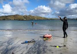 Image result for Apneists UK