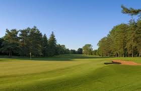 Image result for Burford Golf Club