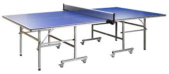 Image result for Generation 2 Table Tennis Club