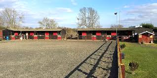 Image result for Shey Copse Riding Centre