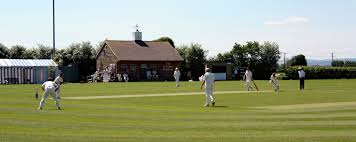 Image result for Luctonians Cricket Club