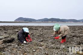 Resultado de imagen para Yeonpyeong