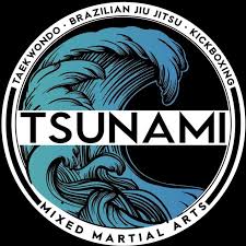 Image result for Tsunami Karate Club