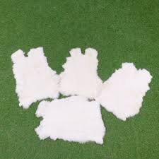 Image result for white rabbit skin texture
