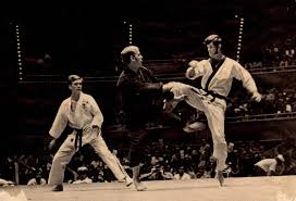 Image result for David Fuller Karate