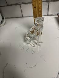 Image result for Black Crystal 1994 Jaguar