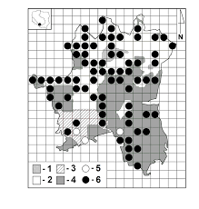Attēlu rezultāti vaicājumam “Orthotrichum pumilum”