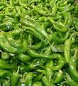 Wegmans Recalls Fresh Anaheim Peppers Due to Salmonella Risk ...
