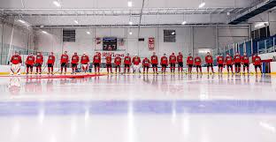 Image result for York University Street Hockey Club