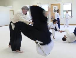 Image result for Southport Muto Aikido Club