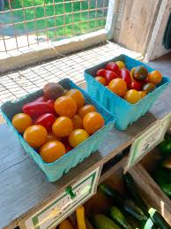 Afbeeldingsresultaat voor cabin tomato