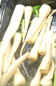 Attēlu rezultāti vaicājumam “Pastinaca sativa subsp. sylvestris fruit”