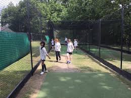Image result for Stanmore Cricket Club