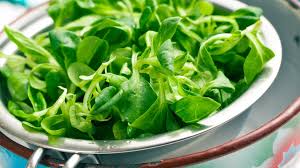 Image result for Feldsalat