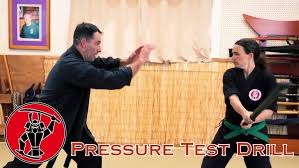 Image result for M-S-N Ninjutsu (Bujinkan) Club