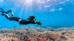 Image result for Underwater Adventures