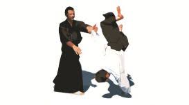 Image result for Mirfield Martial Arts Club