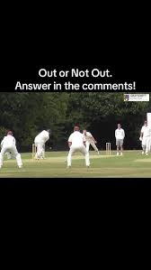 Image result for Grayshott Cricket Club