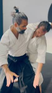 Image result for AikidoFlow