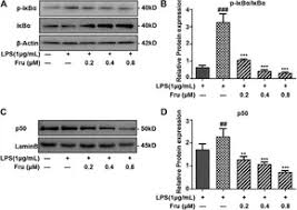 Image result for b%FD%E7ak anatomisi