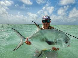 Image result for Trachinotus falcatus