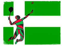 Image result for Bushey Barons Badminton Club