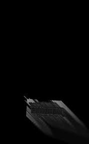 Attēlu rezultāti vaicājumam “Diderma testaceum young”