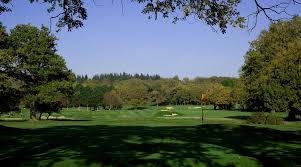 Image result for Leatherhead Lawn Tennis Club