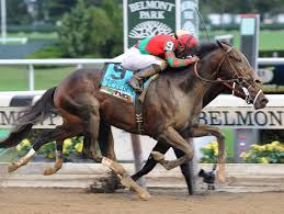 Image result for The Horse Racing Club