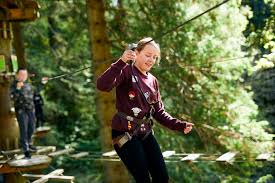 Image result for The Go Ape Experience (Swinley Forest)