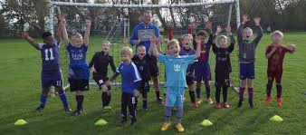 Image result for Herdings Park Football Club