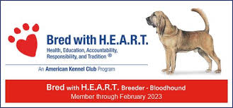 Image result for Carlisle BloodHounds