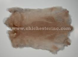 Image result for white rabbit skin texture