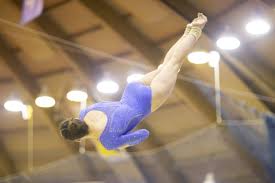 Image result for West Lothian Artistic Gymnastic Club